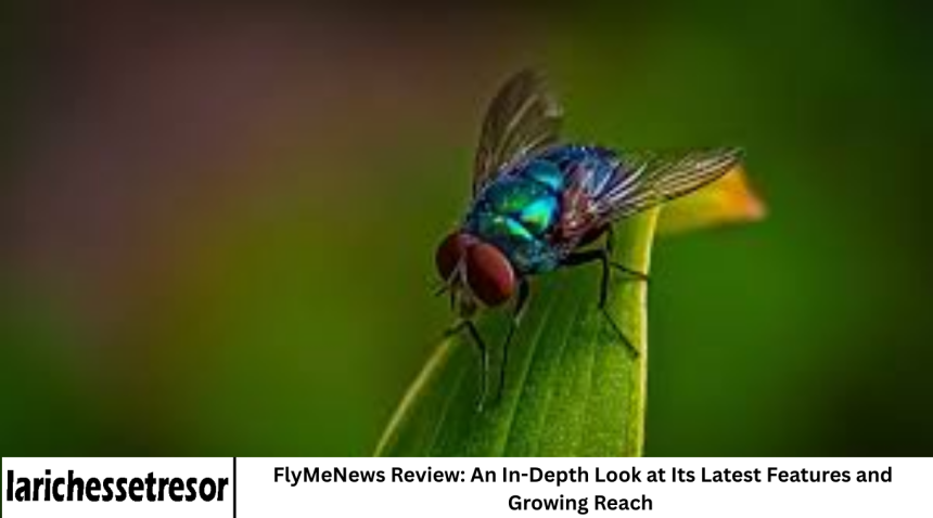 FlyMeNews Review: An In-Depth Look at Its Latest Features and Growing Reach