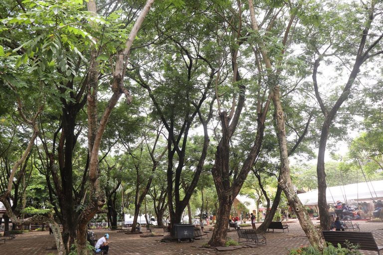 people resting in shade during a hot summer day